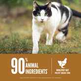 ORIJEN Original Cat Dry Food